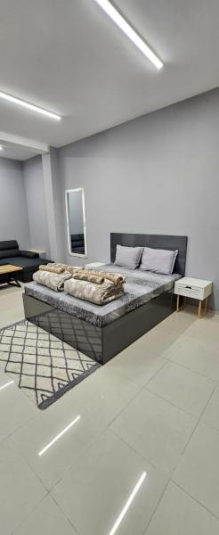 Ново! New Studio PANDORA